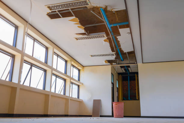 Best Flood restoration services  in Buena Park, CA