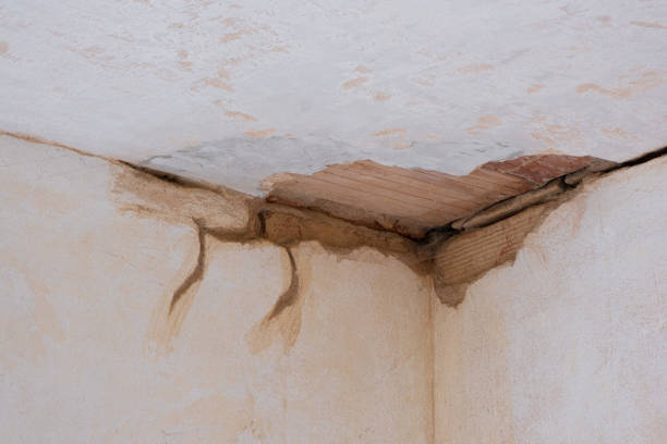Best Fire Damage Restoration  in Buena Park, CA