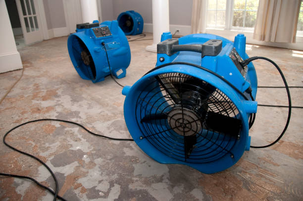 Best Local water damage restoration  in Buena Park, CA
