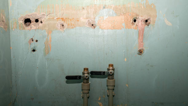 Best Water damage mitigation services  in Buena Park, CA