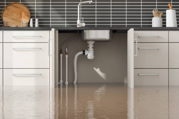 Best Professional water damage repair  in Buena Park, CA