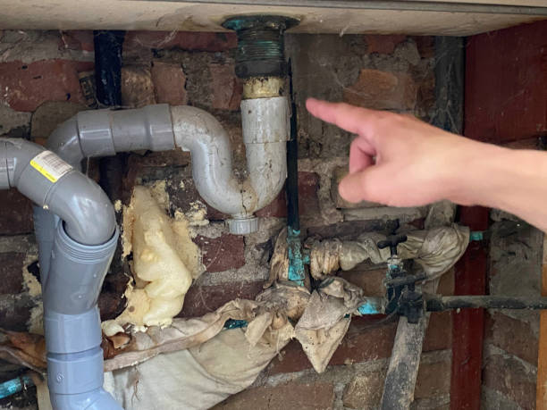 Best Mold removal after water damage  in Buena Park, CA