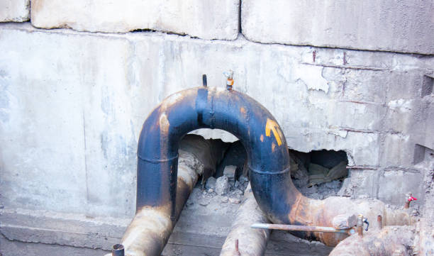 Best Flood restoration services  in Buena Park, CA
