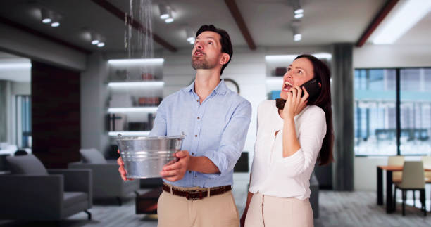 Best Flood damage cleanup  in Buena Park, CA