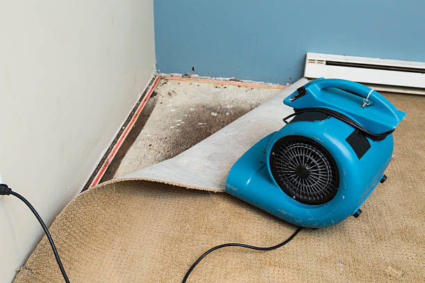 Best Water damage restoration near me  in Buena Park, CA